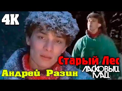 Видео: Ласковый Май / Андрей Разин - Старый лес (Клип  Видео 4K )