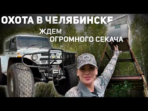 Видео: Охота в Челябинске | ЖДЁМ ОГРОМНОГО СЕКАЧА