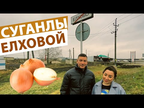 Видео: Тәгәрмәч №12 Елховой (Елхово)