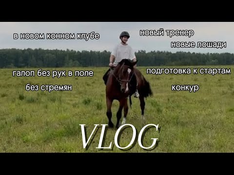 Видео: VLOG:Новый конный клуб. Новый тренер. Конкурная тренеровка. Галоп в полях без рук