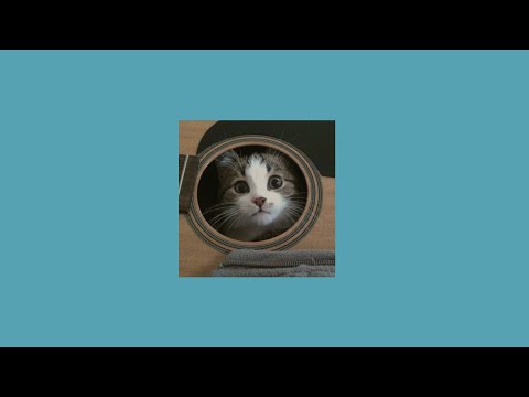 Видео: топ песен алены швец (speed up) (1 часть)