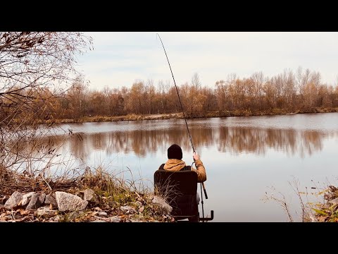 Видео: Плітка 🐟 на Десні продовжує клювати.Рибалка на фідер у листопаді 2025
