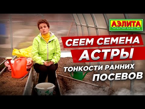 Видео: Сеем Семена Астры. Тонкости Ранних Посевов