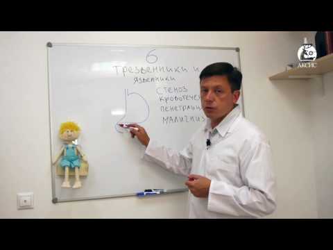 Видео: Трезвенники и язвенники — медцентр Аксис