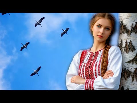 Видео: СТАЯ БЕЛЫХ ЖУРАВЛЕЙ - (сл. и муз. Simple Genius)