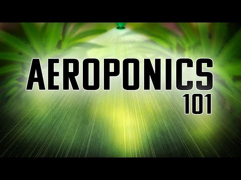 Видео: АЭРОПОНИКА 101 | ВОПЛОЩЕНИЕ САДОВОДСТВА | ЛУЧШИЙ СПОСОБ ВЫРАСТИТЬ ЧТО УГОДНО