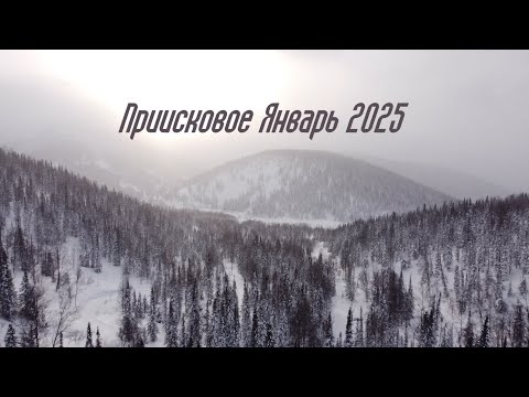 Видео: ПРИИСКОВОЕ. Январь 2025