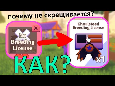 Видео: Как Выводить Событийных Лошадей? Получение Лицензии! Предсказание Гулей! Жизнь Лошадей