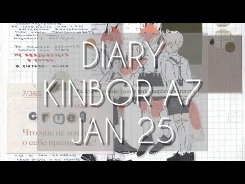 Видео: дневник / январь 2025