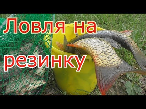 Видео: Рыбалка на РЕЗИНКУ и ловля карпов на закидушку (Часть 1). My fishing