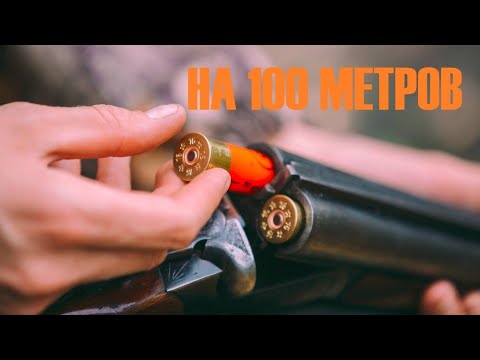 Видео: ✅💥КАК СТРЕЛЯТЬ ГУСЯ НА 100м?  ГУСИНЫЕ НОМЕРА ДРОБИ!