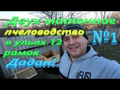 Видео: Двух маточное пчеловодство в 12 рамочных ульях! Начинаю переделывать улья и понадобятся ваши советы!