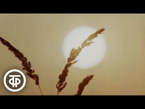 Видео: Служба солнца. Научно-популярный фильм (1974)