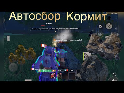 Видео: СОЛО выживание на Стандартном сервере в Last island of Survival.#LIOS#LDRS#RystMobile
