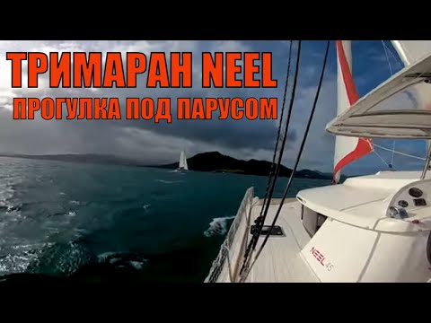 Видео: Тримаран Neel. Прогулка у берегов Мартиники