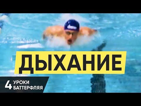 Видео: КАК ПРАВИЛЬНО ДЫШАТЬ В БАТТЕРФЛЯЕ?. УРОК 4. УРОКИ БАТТЕРФЛЯЯ @ Swimmate.ru