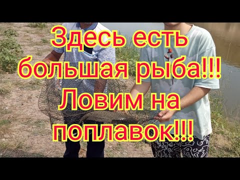 Видео: Рыбалка близ Алматы. Поплавок рулит!!!! Прудхоз в Касымбеке