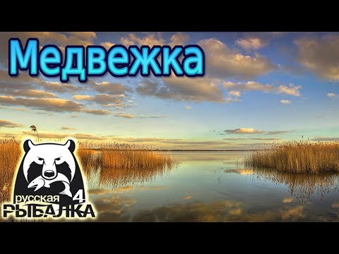 Видео: РР4 пошёл на Медвежье за усачом а наловил Карпов Зеркальных и Амуров!!!!!!!!
