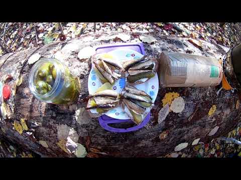 Видео: Готовке в лесу. Бутерброд с шпротами.