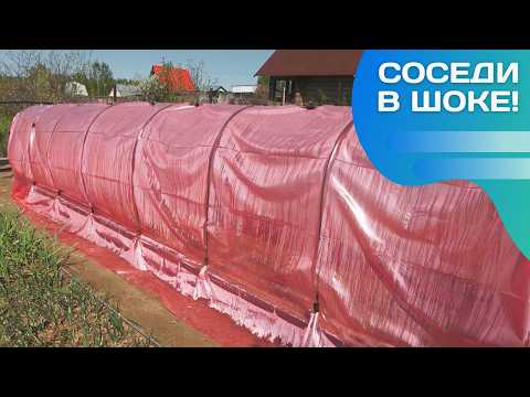 Видео: Летний шоппинг! Товары для дачи и сада на Озон и Вайлдберрис!