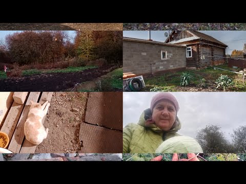 Видео: Жизнь в деревне.Одна на хозяйстве.Подготовила малину к зиме .Купила ТАЧКУ.🤭Пилю дрова.