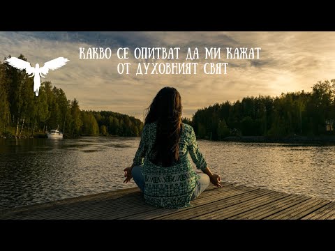 Видео: Какво се опитват да ми кажат от Духовният Свят 🕊️🪽👼😇