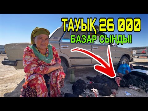Видео: ТАУЫҚЛАР МУТ БОЛДЫ! 24-АВГУСТ ШЫМБАЙ ТАУЫҚ БАЗАРЫ БАХАЛАРЫ КӨРИП ХАЙРАН ҚАЛАСЫЗ