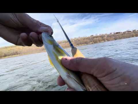 Видео: Хадран