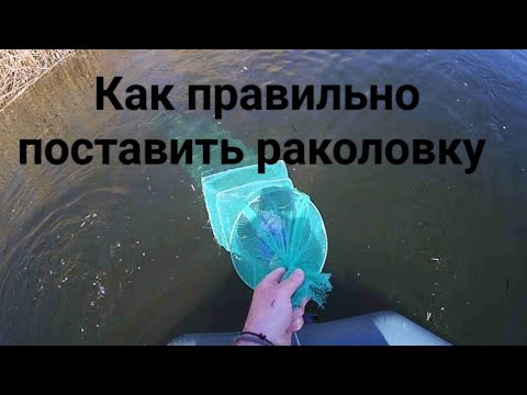 Видео: Как поставить раколовку . На что ловить раков осенью .