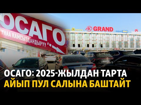 Видео: ОСАГО: 2025-жылдан тарта айып пул салына баштайт