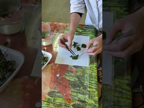 Видео: Методика проведения макроскопического анализа сырья "листья"