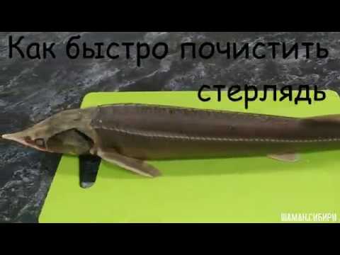 Видео: Как быстро почистить стерлядь 👍