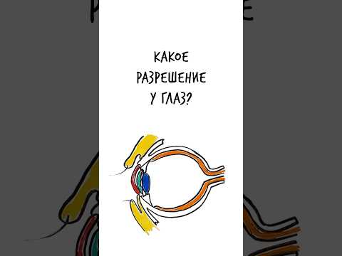 Видео: Какое РАЗРЕШЕНИЕ у ГЛАЗА? — Научпок #шортс