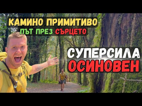 Видео: ИСТИНАТА, която ПРОМЕНИ ЖИВОТА МИ | КАМИНО ПРИМИТИВО – ПЪТ през СЪРЦЕТО | Еп.13