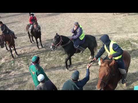 Видео: Есмахановтар Әулеті, Самидинұлы Хамидин мырзаның елден бата алу көкпары. 17.11.2023