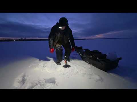 Видео: Рыбалка на Сугояке 17 01 25 Мелкая щука не даёт скучать
