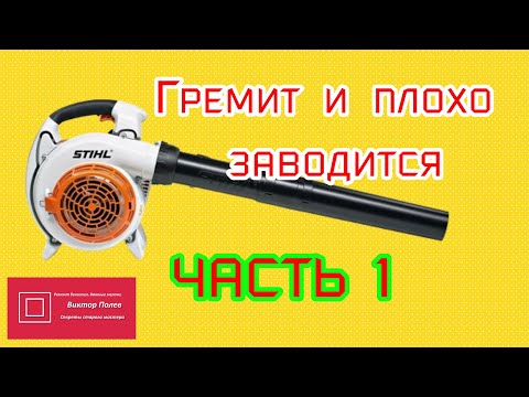 Видео: Воздуходувка ШтильStihl BG 86C Гремит и плохо заводится ЧАСТЬ 1  #ВикторПолев