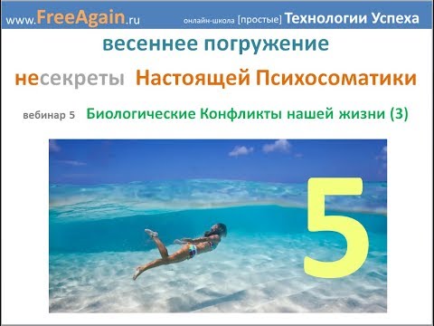 Видео: Егор Миронов Весеннее погружение 2019 Вебинар 5 11 апреля запись