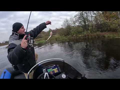 Видео: Закрытие рыбалки 2024! Река Лух!