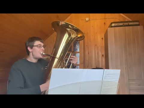 Видео: Мастер-класс Шагов Ф. А. (туба) 1-6 ноября 2020г