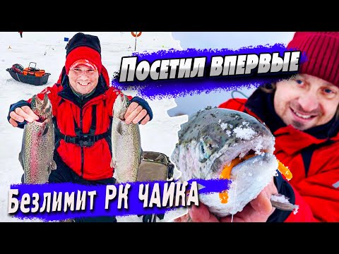 Видео: Форелевый безлимит | Как поймать рыбу на новом водоеме | Денис Вихров