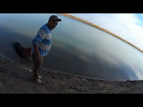 Видео: день второй и завершение.