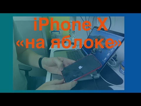 Видео: iPhone X завис на яблоке. Варианты решений.