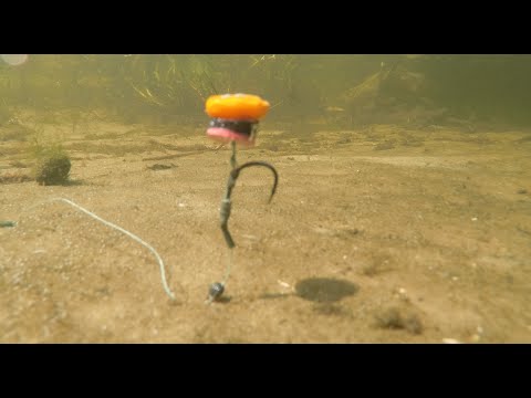 Видео: 🐟 КАК Поймать КАРПА . 🌽  ПОДВОДНАЯ СЬЕМКА