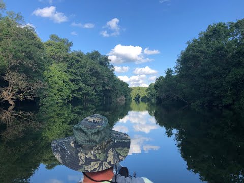 Видео: Риболов с каяк на река Велека