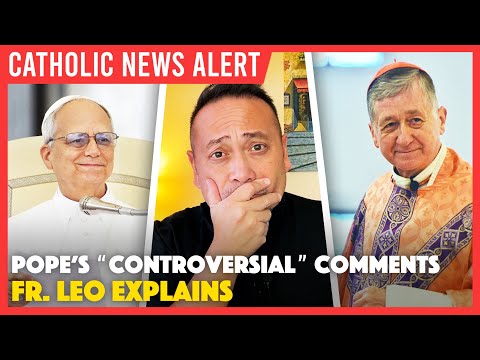 Видео: CATHOLIC ALERT: Защитил ли Папа Дика Дурбина? Католическая реакция на интерпретацию в СМИ высказы...