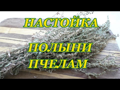 Видео: Как приготовить настойку полыни для профилактики пчел осенью.