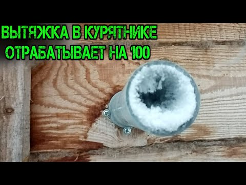 Видео: ВЕНТИЛЯЦИЯ В КУРЯТНИКЕ ТЯНЕТ НА 100