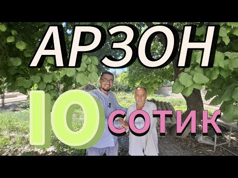Видео: сотилди