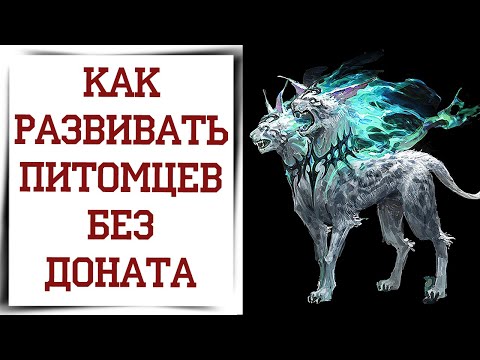 Видео: Бесплатная прокачка фамилиаров Diablo Immortal гайд